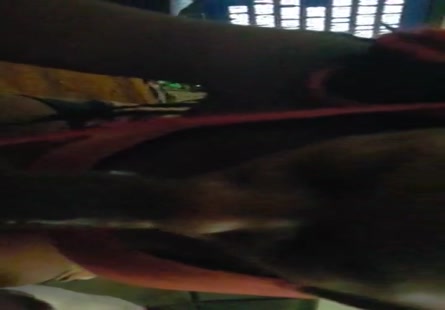 Tongue god se fait sucer par ms. red (ou toute autre variante)